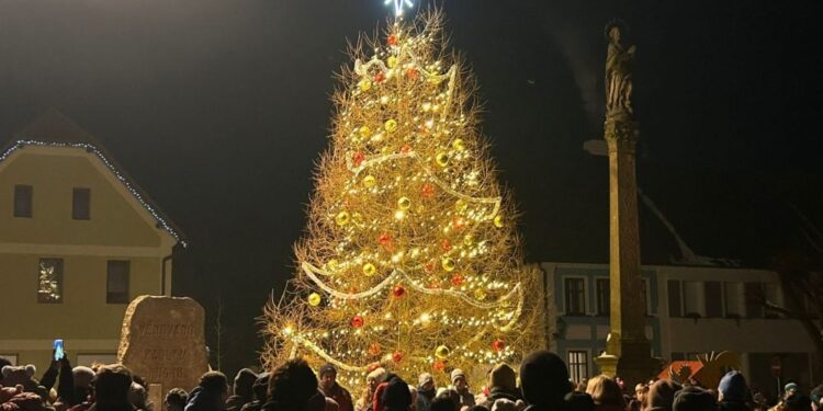 Різдвяна ялинка в містечку Новий Градек внесена в чеську Книгу рекордів – вона без хвої