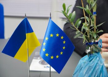 На Херсонщині висадять оливкову плантацію – саджанці вже є