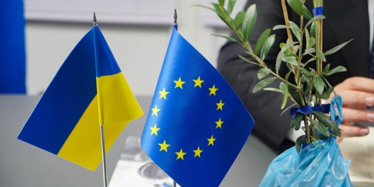 На Херсонщині висадять оливкову плантацію – саджанці вже є