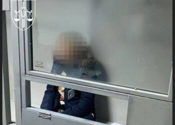 В Україну повернули учасницю злочинної групи, яка продавала дітей за кордон – по 50-70 тис. євро за “штуку” (ФОТО)