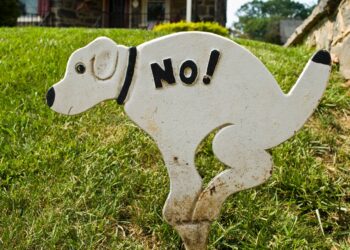 З собак в італійському Больцано стягуватимуть туристичний податок