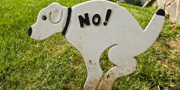 З собак в італійському Больцано стягуватимуть туристичний податок