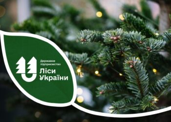 На Миколаївщині виявлено три порушника, які незаконно рубали різдвяні ялинки