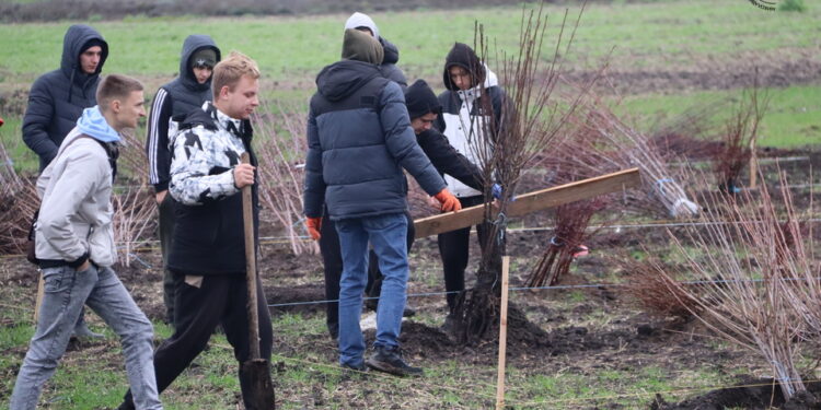 На Миколаївщині на 1,5 га заклали навчальний сад – там горіхи, вишні, черешні, персики (ФОТО)