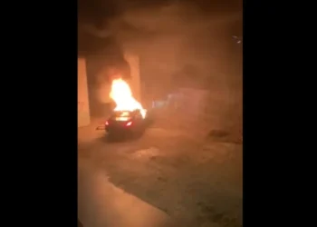 Вбитим у Відні українцем виявився син заступника мера Харкова. Вбивць затримали – в Україні