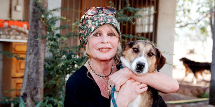 Єдиний, але забутий родич. Хто отримає багатомільйонний спадок покійної Бріжіт Бардо (ФОТО)