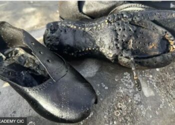 Моторошна загадка. На пляж в Уельсі винесло сотні старовинних шкіряних черевиків (ФОТО)