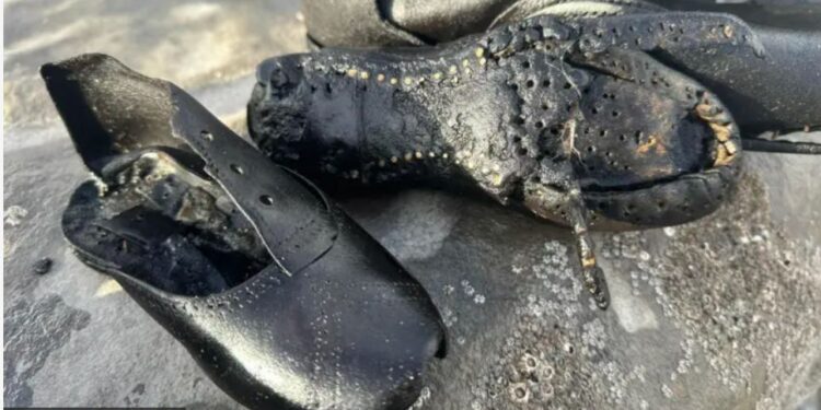 Моторошна загадка. На пляж в Уельсі винесло сотні старовинних шкіряних черевиків (ФОТО)