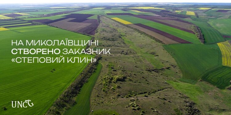 На Миколаївщині створено ботанічний заказник «Степовий клин»