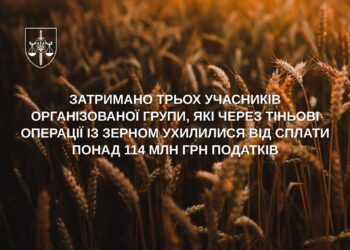 На Миколаївщині викрито організовану групу за ухилення від сплати податків на понад 114,6 млн грн