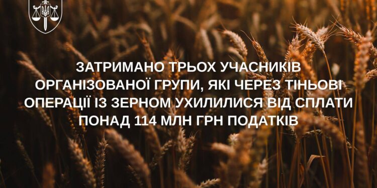 На Миколаївщині викрито організовану групу за ухилення від сплати податків на понад 114,6 млн грн