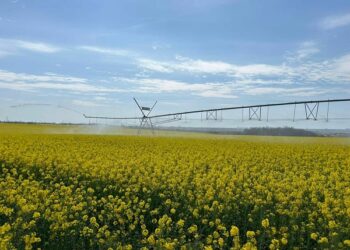 Держрибагентство запевняє, що зрошувало понад 40 тис.га землі в Україні, зокрема – і на Миколаївщині. Цікаво, аграрії це підтвердять?