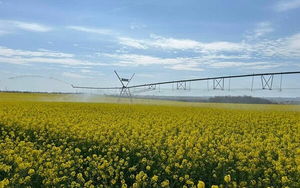 Держрибагентство запевняє, що зрошувало понад 40 тис.га землі в Україні, зокрема – і на Миколаївщині. Цікаво, аграрії це підтвердять?