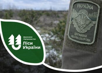 Половина виявлених у грудні порушників, які незаконно рубали новорічні сосни в лісах, – на Миколаївщині
