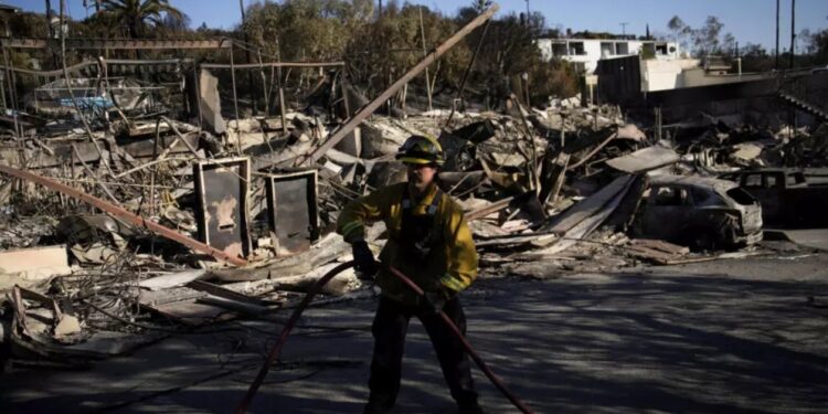 2025 рік на межі: найбільші екологічні катастрофи, що змінили уявлення про вразливість планети