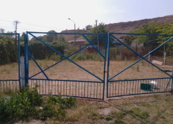 Шалений попит. На аукціоні у 109 разів дорожче продали базу “Наука” між Коблеве і Південним. Під маєток? (ФОТО)