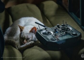 ЗСУ знешкодили ще 860 окупантів. Всі втрати ворога