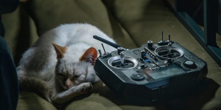 ЗСУ знешкодили ще 860 окупантів. Всі втрати ворога