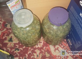 Зберігав 2,5 кг канабісу – у Миколаєві поліцейські затримали чоловіка за незаконний обіг наркотиків (ФОТО)