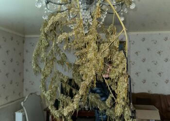 Озброєння та кілограми наркотиків – у Миколаєві поліцейські затримали чоловіка (ФОТО)