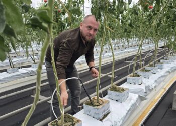 У Хмельницьку студенти створюють робота-агронома – буде діагностувати хвороби рослин (ФОТО)