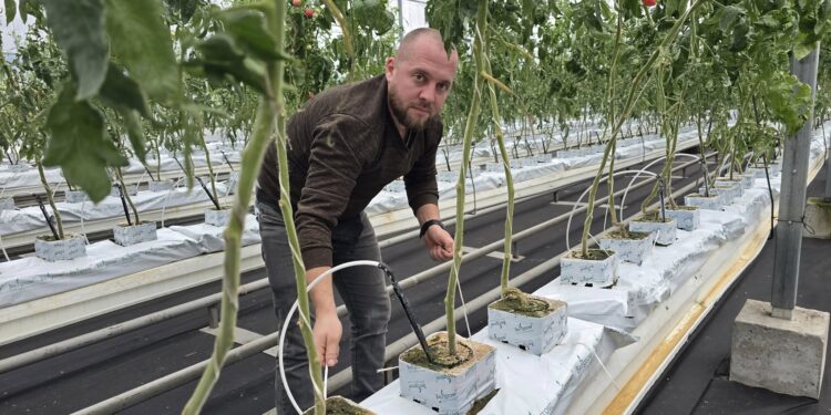 У Хмельницьку студенти створюють робота-агронома – буде діагностувати хвороби рослин (ФОТО)