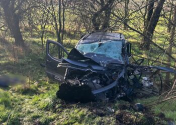 На Миколаївщині в ДТП із вантажівкою загинув водій автомобіля (ФОТО)