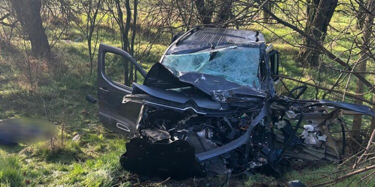 На Миколаївщині в ДТП із вантажівкою загинув водій автомобіля (ФОТО)