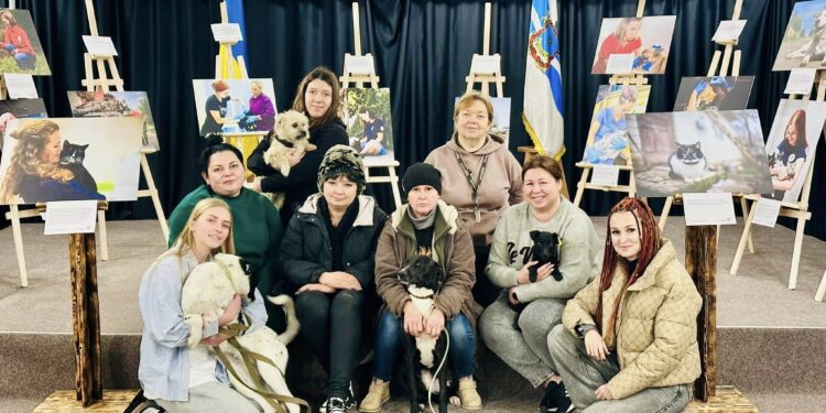 У Миколаєві відкрили фотовиставку «Чотири лапи – тисячі історій» та прилаштували 5 тварин (ФОТО)