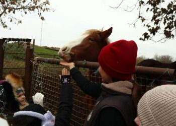 На стайні імені Володимира Сороки в Миколаєві відбувся благодійний захід для дітей до Дня святого Миколая (ФОТО)