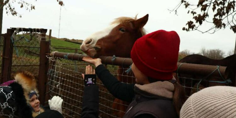 На стайні імені Володимира Сороки в Миколаєві відбувся благодійний захід для дітей до Дня святого Миколая (ФОТО)