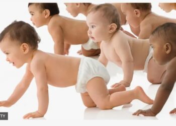 Всі хочуть дітей вікінгів? Чому данська сперма захопила світ (ФОТО)