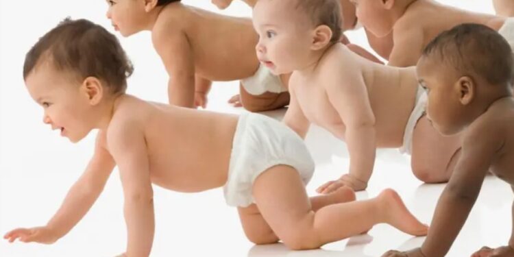 Всі хочуть дітей вікінгів? Чому данська сперма захопила світ (ФОТО)