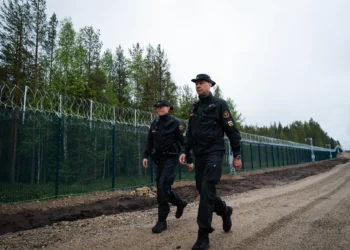 Фінляндія скликає Східний фланг НАТО перед лицем загрози