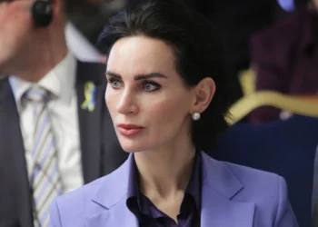 Один із підозрюваних у вбивстві сина мера Харкова – пасинок посла України в Болгарії. Вона зробила заяву