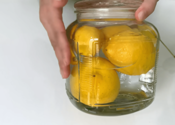 Як зберегти лимони місяць свіжими, щоб не сохли і не псувалися