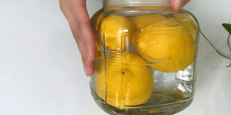 Як зберегти лимони місяць свіжими, щоб не сохли і не псувалися