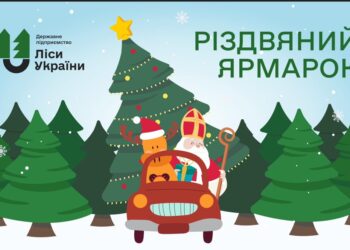 Ліси України почали офіційний продаж різдвяних ялинок. Скільки коштують