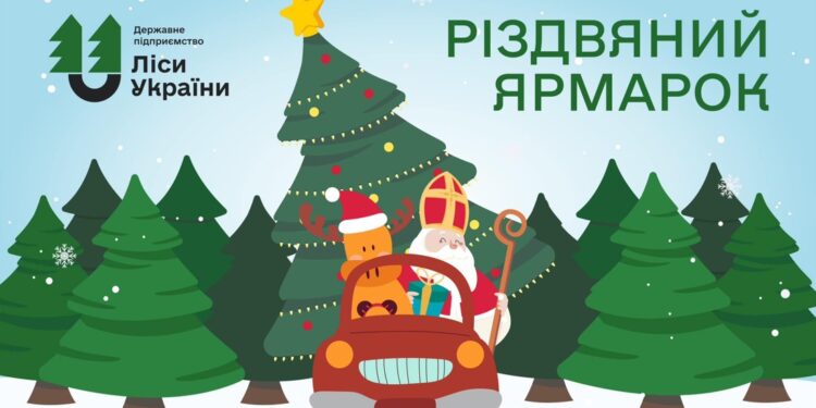 Ліси України почали офіційний продаж різдвяних ялинок. Скільки коштують
