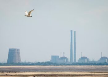 Задля ремонтних робіт поблизу ЗАЕС оголошено тимчасове місцеве перемир’я – МАГАТЕ