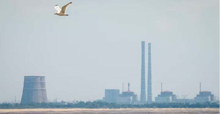 Задля ремонтних робіт поблизу ЗАЕС оголошено тимчасове місцеве перемир’я – МАГАТЕ