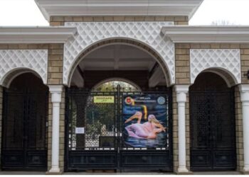 Одеський зоопарк просить одеситів взяти додому врятованих птахів, бо там вже немає рук і місця (ВІДЕО)