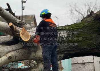 У Миколаєві вже прибрали 9 дерев, які впали через негоду (ФОТО)