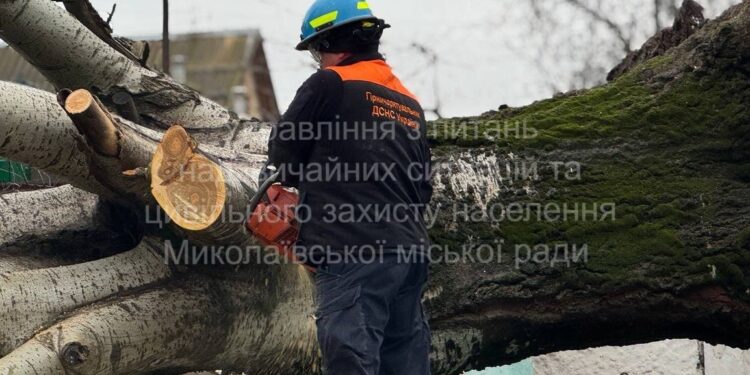 У Миколаєві вже прибрали 9 дерев, які впали через негоду (ФОТО)