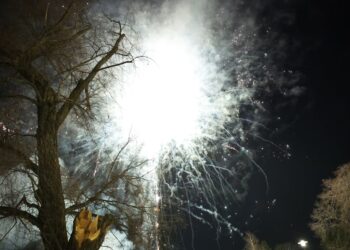 Парламент Фінляндії розгляне громадянську ініціативу про заборону феєрверків