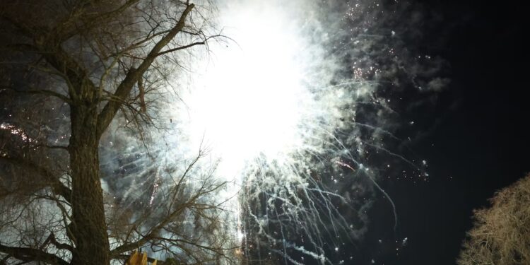 Парламент Фінляндії розгляне громадянську ініціативу про заборону феєрверків