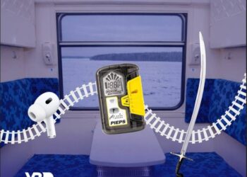 Шабля, вазон, комбінезон для песика…Що ще українці губили в поїздах у 2025 році