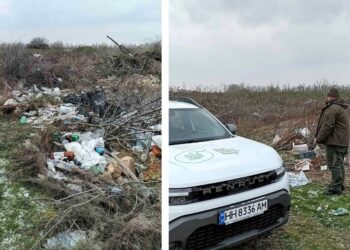 На Миколаївщині виявлено масштабне несанкціоноване сміттєзвалище площею понад 0,1 га