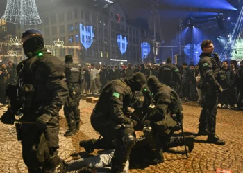 У Нідерландах останній Новий рік з феєрверками закінчився масовим насильством – є загиблі