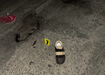 Збив жінку-пішохода та втік з місця ДТП – на Миколаївщині шукають транспортний засіб та водія (ФОТО)